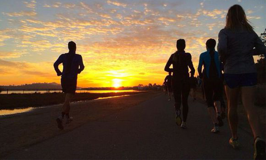 林芝计步器问答案例