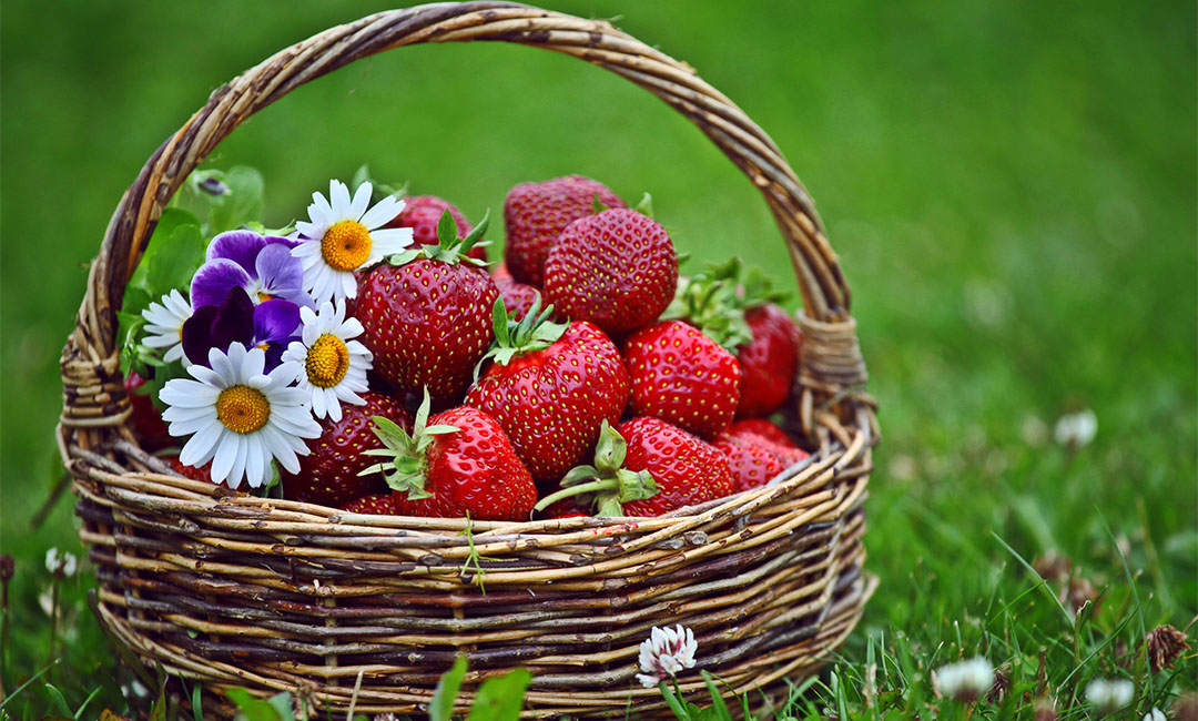 林芝点呀点水果电商APP开发案例